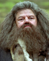 Imagen de Rubeus Hagrid